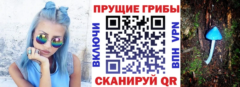 Галлюциногенные грибы Magic Shrooms  площадка Telegram  Тамбов  магазин продажи  