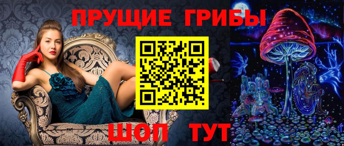 Псилоцибиновые грибы прущие грибы  Вход с VPN  Тамбов 