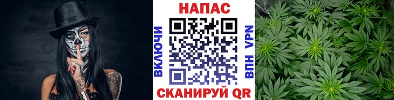 купить наркотик  Тамбов  Бошки Шишки OG Kush 